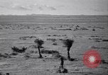 Standbild amerikanischen Migranten Landwirtschaft Landwirtschaft United States USA, 1939, aus Sekunde 13 historischem Filmmaterial Videoclip 65675021574