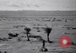 Standbild amerikanischen Migranten Landwirtschaft Landwirtschaft United States USA, 1939, aus Sekunde 14 historischem Filmmaterial Videoclip 65675021574