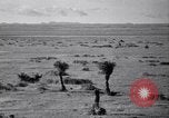 Standbild amerikanischen Migranten Landwirtschaft Landwirtschaft United States USA, 1939, aus Sekunde 15 historischem Filmmaterial Videoclip 65675021574