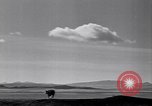 Standbild amerikanischen Migranten Landwirtschaft Landwirtschaft United States USA, 1939, aus Sekunde 23 historischem Filmmaterial Videoclip 65675021574