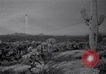 Standbild amerikanischen Migranten Landwirtschaft Landwirtschaft United States USA, 1939, aus Sekunde 47 historischem Filmmaterial Videoclip 65675021574