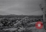 Standbild amerikanischen Migranten Landwirtschaft Landwirtschaft United States USA, 1939, aus Sekunde 48 historischem Filmmaterial Videoclip 65675021574