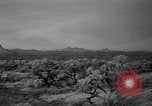 Standbild amerikanischen Migranten Landwirtschaft Landwirtschaft United States USA, 1939, aus Sekunde 50 historischem Filmmaterial Videoclip 65675021574