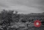 Standbild amerikanischen Migranten Landwirtschaft Landwirtschaft United States USA, 1939, aus Sekunde 60 historischem Filmmaterial Videoclip 65675021574