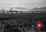 Standbild Baumwolle pflücken United States USA, 1939, aus Sekunde 8 historischem Filmmaterial Videoclip 65675021576