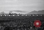 Standbild Baumwolle pflücken United States USA, 1939, aus Sekunde 9 historischem Filmmaterial Videoclip 65675021576
