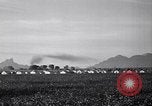 Standbild Baumwolle pflücken United States USA, 1939, aus Sekunde 11 historischem Filmmaterial Videoclip 65675021576