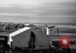 Standbild Baumwolle pflücken United States USA, 1939, aus Sekunde 18 historischem Filmmaterial Videoclip 65675021576