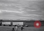 Standbild Baumwolle pflücken United States USA, 1939, aus Sekunde 35 historischem Filmmaterial Videoclip 65675021576