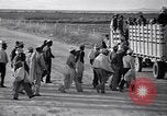 Standbild Baumwolle pflücken United States USA, 1939, aus Sekunde 36 historischem Filmmaterial Videoclip 65675021576