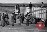 Standbild Baumwolle pflücken United States USA, 1939, aus Sekunde 38 historischem Filmmaterial Videoclip 65675021576