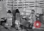 Standbild Baumwolle pflücken United States USA, 1939, aus Sekunde 45 historischem Filmmaterial Videoclip 65675021576