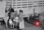 Standbild Baumwolle pflücken United States USA, 1939, aus Sekunde 46 historischem Filmmaterial Videoclip 65675021576