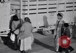 Standbild Baumwolle pflücken United States USA, 1939, aus Sekunde 48 historischem Filmmaterial Videoclip 65675021576