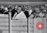 Standbild Baumwolle pflücken United States USA, 1939, aus Sekunde 50 historischem Filmmaterial Videoclip 65675021576