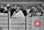 Standbild Baumwolle pflücken United States USA, 1939, aus Sekunde 51 historischem Filmmaterial Videoclip 65675021576