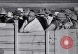 Standbild Baumwolle pflücken United States USA, 1939, aus Sekunde 52 historischem Filmmaterial Videoclip 65675021576