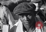 Standbild Baumwolle pflücken United States USA, 1939, aus Sekunde 56 historischem Filmmaterial Videoclip 65675021576