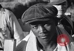 Standbild Baumwolle pflücken United States USA, 1939, aus Sekunde 57 historischem Filmmaterial Videoclip 65675021576