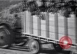 Standbild Baumwolle pflücken United States USA, 1939, aus Sekunde 60 historischem Filmmaterial Videoclip 65675021576