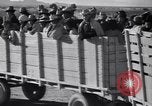 Standbild Baumwolle pflücken United States USA, 1939, aus Sekunde 61 historischem Filmmaterial Videoclip 65675021576