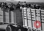 Standbild Baumwolle pflücken United States USA, 1939, aus Sekunde 62 historischem Filmmaterial Videoclip 65675021576