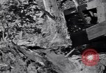 Standbild Clearing Bäume für mehr Ackerland United States USA, 1939, aus Sekunde 7 historischem Filmmaterial Videoclip 65675021577