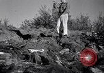 Standbild Clearing Bäume für mehr Ackerland United States USA, 1939, aus Sekunde 8 historischem Filmmaterial Videoclip 65675021577