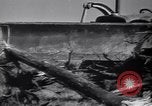 Standbild Clearing Bäume für mehr Ackerland United States USA, 1939, aus Sekunde 10 historischem Filmmaterial Videoclip 65675021577