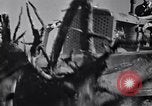 Standbild Clearing Bäume für mehr Ackerland United States USA, 1939, aus Sekunde 11 historischem Filmmaterial Videoclip 65675021577