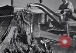 Standbild Clearing Bäume für mehr Ackerland United States USA, 1939, aus Sekunde 13 historischem Filmmaterial Videoclip 65675021577
