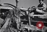 Standbild Clearing Bäume für mehr Ackerland United States USA, 1939, aus Sekunde 14 historischem Filmmaterial Videoclip 65675021577