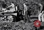 Standbild Clearing Bäume für mehr Ackerland United States USA, 1939, aus Sekunde 17 historischem Filmmaterial Videoclip 65675021577