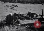 Standbild Clearing Bäume für mehr Ackerland United States USA, 1939, aus Sekunde 21 historischem Filmmaterial Videoclip 65675021577