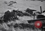Standbild Clearing Bäume für mehr Ackerland United States USA, 1939, aus Sekunde 24 historischem Filmmaterial Videoclip 65675021577