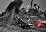 Standbild Clearing Bäume für mehr Ackerland United States USA, 1939, aus Sekunde 29 historischem Filmmaterial Videoclip 65675021577