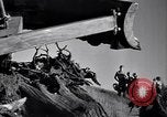 Standbild Clearing Bäume für mehr Ackerland United States USA, 1939, aus Sekunde 33 historischem Filmmaterial Videoclip 65675021577