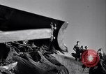 Standbild Clearing Bäume für mehr Ackerland United States USA, 1939, aus Sekunde 34 historischem Filmmaterial Videoclip 65675021577