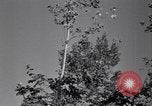 Standbild Clearing Bäume für mehr Ackerland United States USA, 1939, aus Sekunde 62 historischem Filmmaterial Videoclip 65675021577