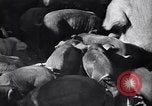 Standbild Regierung Verteilung von Nahrungsmitteln an Pächter Iowa United States USA, 1939, aus Sekunde 18 historischem Filmmaterial Videoclip 65675021578