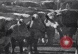 Standbild Regierung Verteilung von Nahrungsmitteln an Pächter Iowa United States USA, 1939, aus Sekunde 22 historischem Filmmaterial Videoclip 65675021578