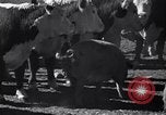 Standbild Regierung Verteilung von Nahrungsmitteln an Pächter Iowa United States USA, 1939, aus Sekunde 24 historischem Filmmaterial Videoclip 65675021578