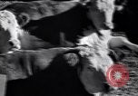 Standbild Regierung Verteilung von Nahrungsmitteln an Pächter Iowa United States USA, 1939, aus Sekunde 26 historischem Filmmaterial Videoclip 65675021578