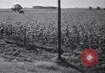Standbild Regierung Verteilung von Nahrungsmitteln an Pächter Iowa United States USA, 1939, aus Sekunde 43 historischem Filmmaterial Videoclip 65675021578