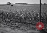 Standbild Regierung Verteilung von Nahrungsmitteln an Pächter Iowa United States USA, 1939, aus Sekunde 44 historischem Filmmaterial Videoclip 65675021578