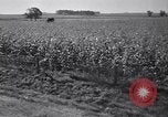 Standbild Regierung Verteilung von Nahrungsmitteln an Pächter Iowa United States USA, 1939, aus Sekunde 45 historischem Filmmaterial Videoclip 65675021578