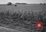 Standbild Regierung Verteilung von Nahrungsmitteln an Pächter Iowa United States USA, 1939, aus Sekunde 46 historischem Filmmaterial Videoclip 65675021578