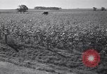 Standbild Regierung Verteilung von Nahrungsmitteln an Pächter Iowa United States USA, 1939, aus Sekunde 48 historischem Filmmaterial Videoclip 65675021578