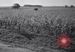 Standbild Regierung Verteilung von Nahrungsmitteln an Pächter Iowa United States USA, 1939, aus Sekunde 49 historischem Filmmaterial Videoclip 65675021578