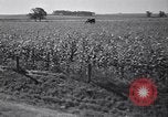 Standbild Regierung Verteilung von Nahrungsmitteln an Pächter Iowa United States USA, 1939, aus Sekunde 50 historischem Filmmaterial Videoclip 65675021578